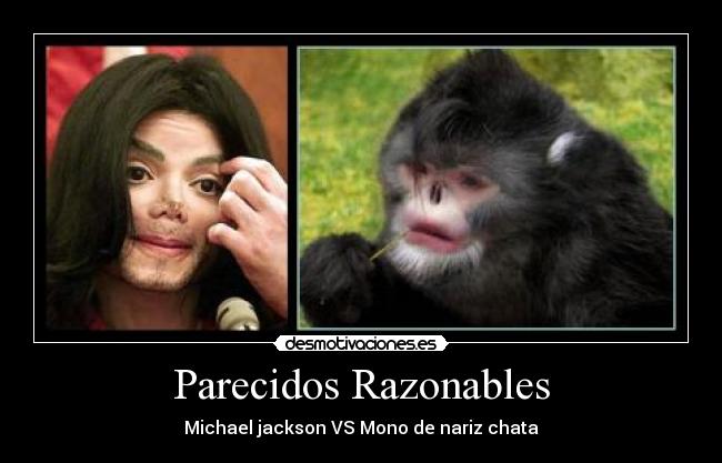 carteles parecidos razonables michael jackson mono nariz chata nemesis nms desmotivaciones