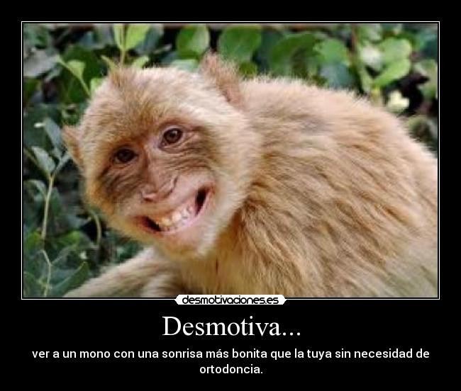 Desmotiva... - 