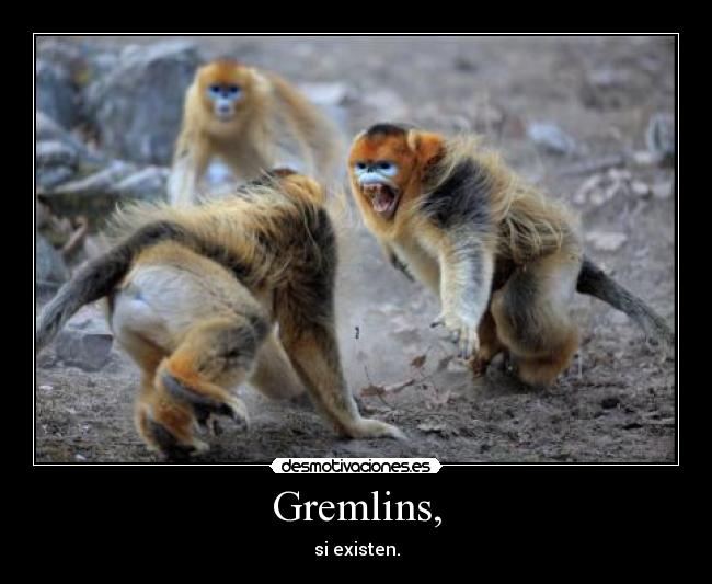 carteles gremlin desmotivaciones