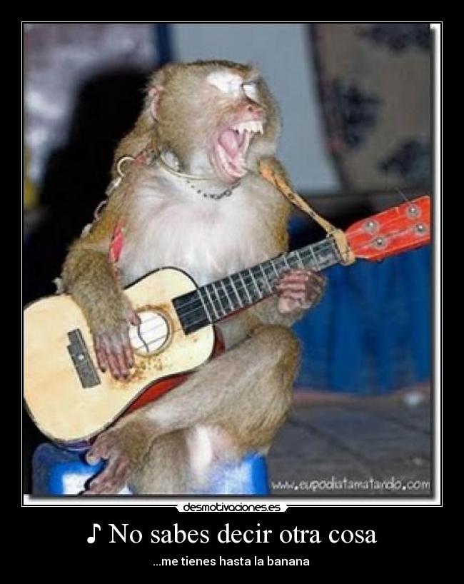 ♪ No sabes decir otra cosa - ...me tienes hasta la banana ♪