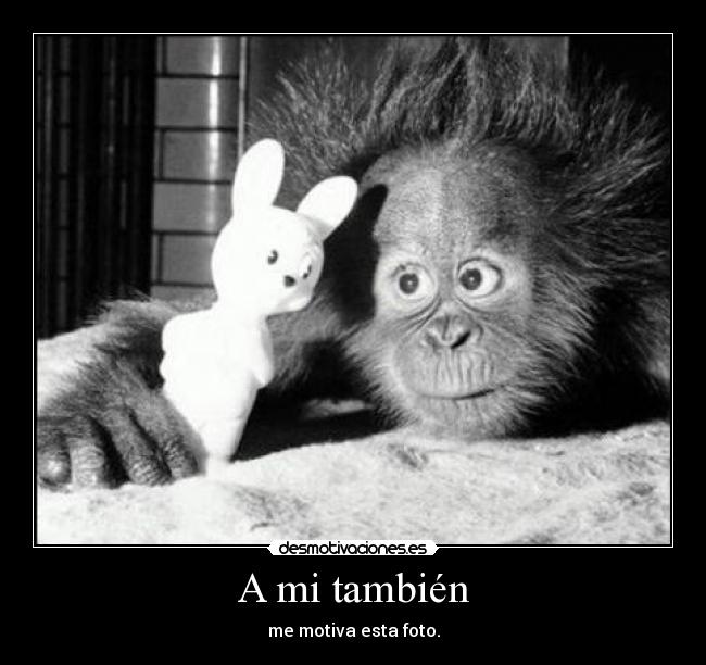 A mi también - me motiva esta foto.