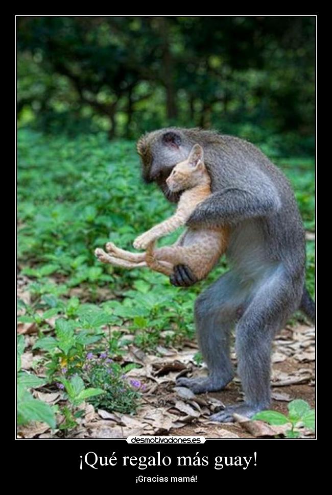 ¡Qué regalo más guay! -