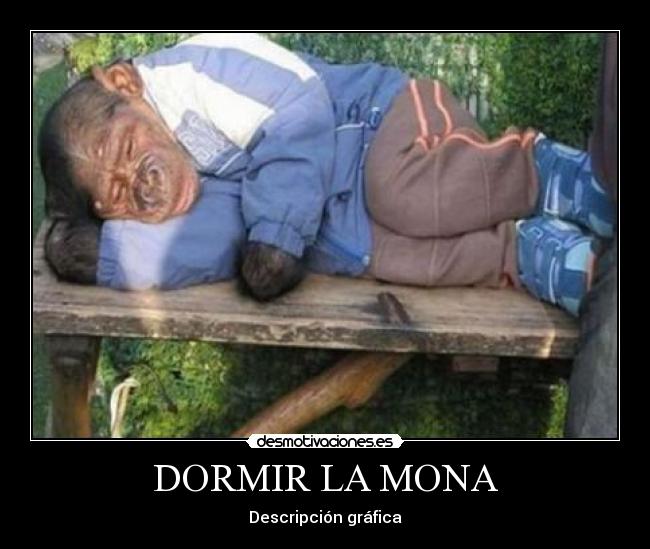 DORMIR LA MONA - Descripción gráfica