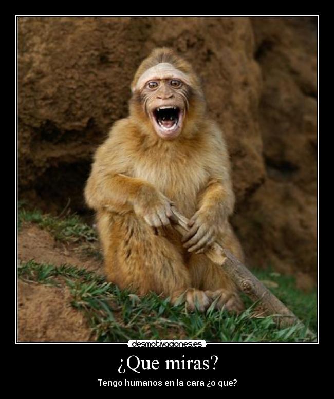 carteles que miras humanos cara desmotivaciones