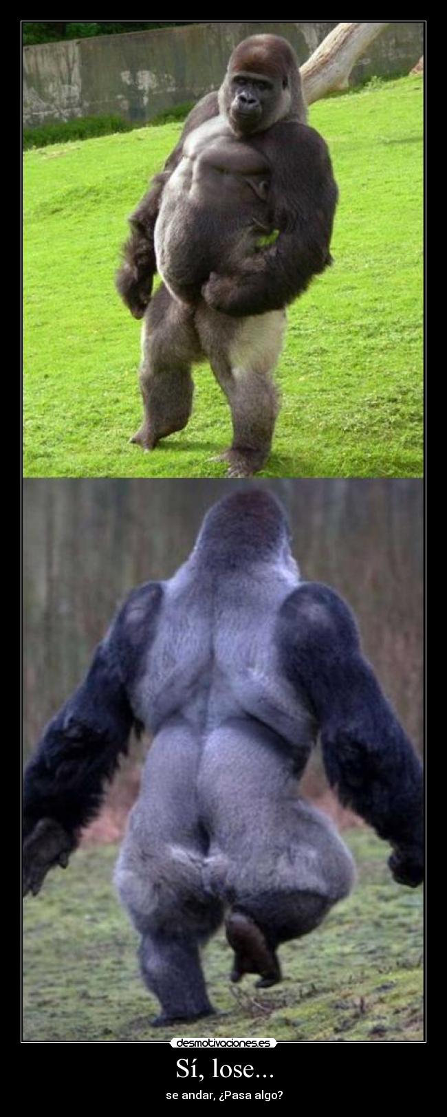Sí, lose... - se andar, ¿Pasa algo?