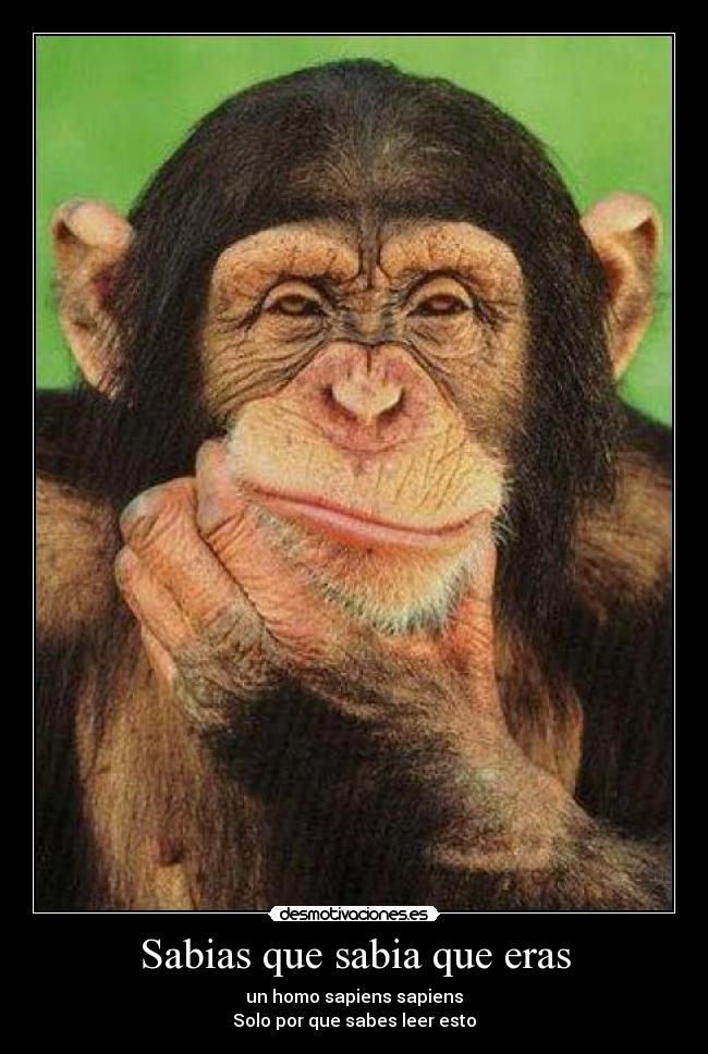 Sabias que sabia que eras - un homo sapiens sapiens
Solo por que sabes leer esto