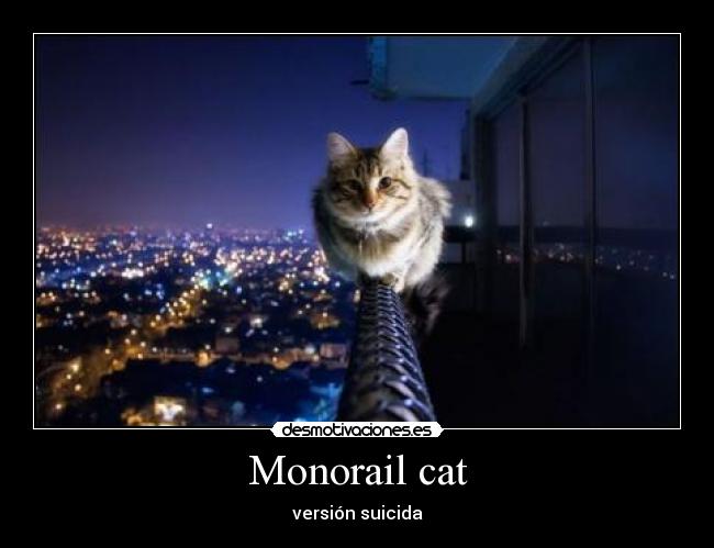 Monorail cat - versión suicida