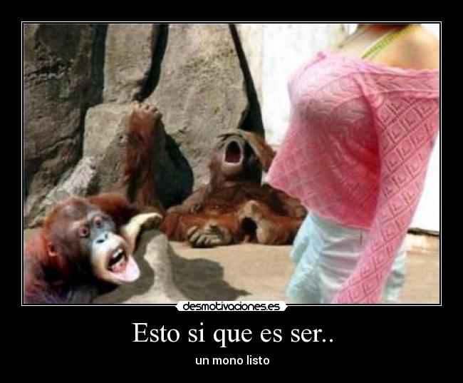 Esto si que es ser.. -