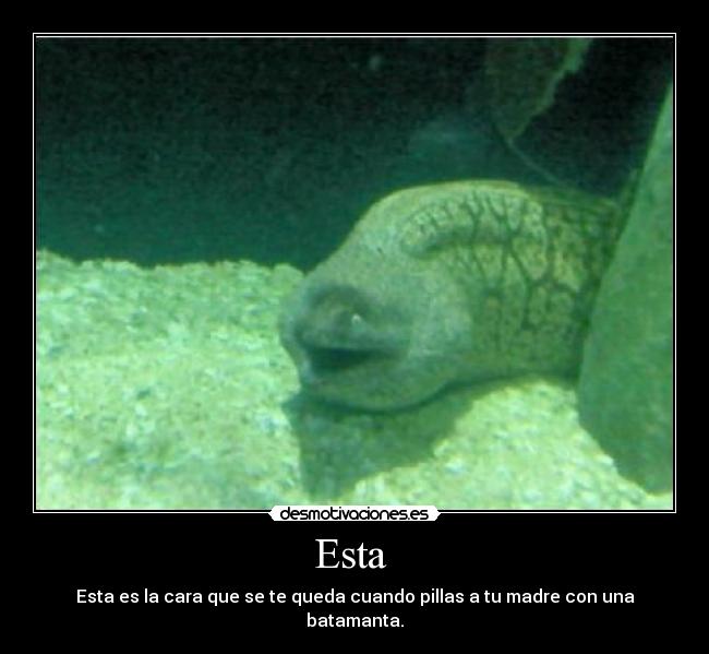 Esta  - Esta es la cara que se te queda cuando pillas a tu madre con una batamanta.