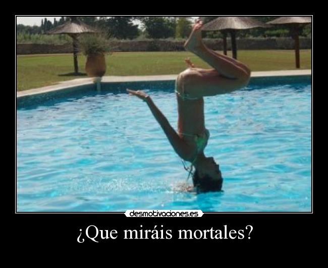 carteles mortales desmotivaciones