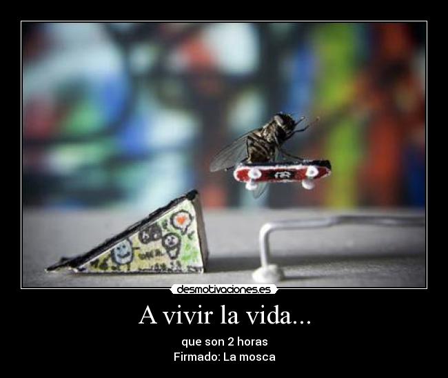 A vivir la vida... - 