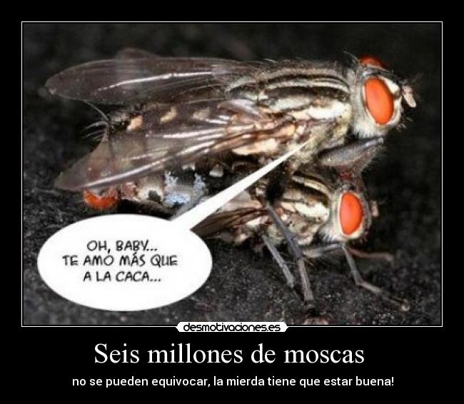 Seis millones de moscas - no se pueden equivocar, la mierda tiene que estar buena!