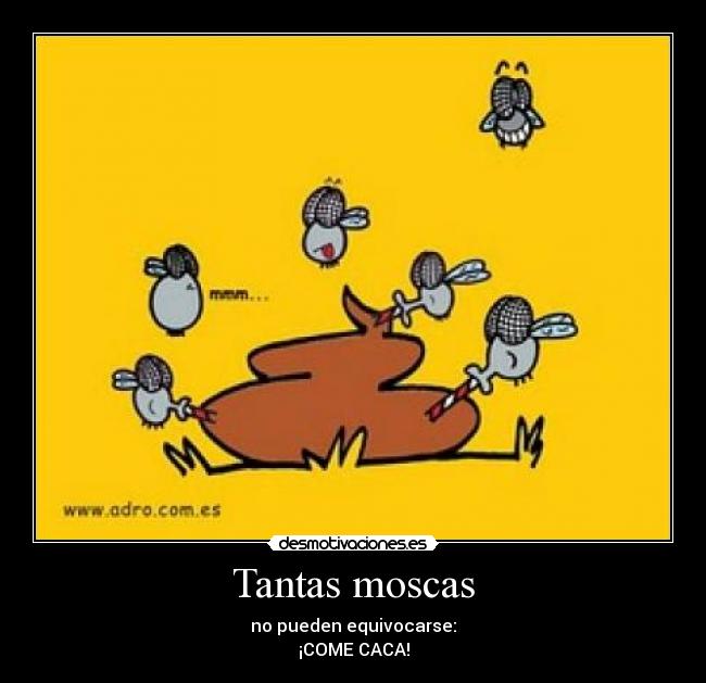 Tantas moscas -