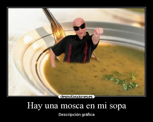 Hay una mosca en mi sopa - Descripción gráfica