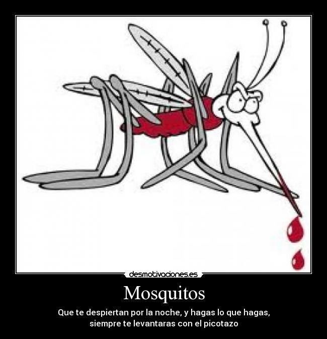 Mosquitos -