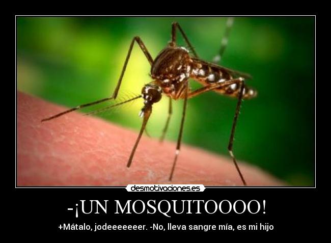 -¡UN MOSQUITOOOO! -