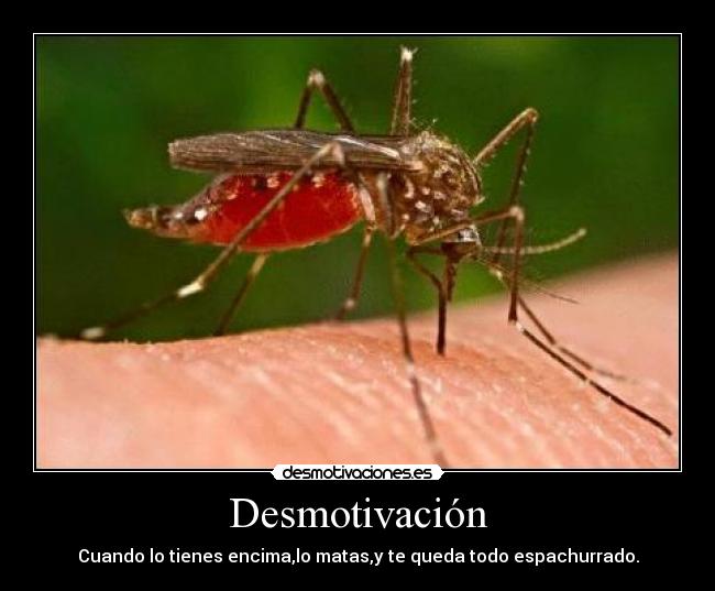 Desmotivación - Cuando lo tienes encima,lo matas,y te queda todo espachurrado.