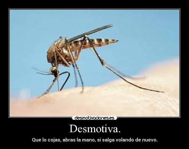 Desmotiva. - 
