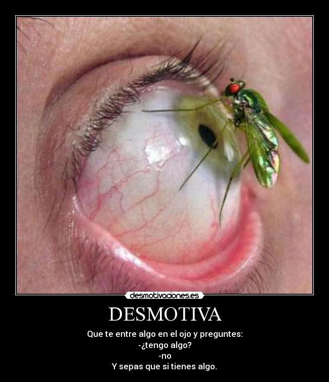 DESMOTIVA - Que te entre algo en el ojo y preguntes:
-¿tengo algo?
-no
Y sepas que si tienes algo.