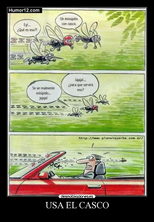 USA EL CASCO -