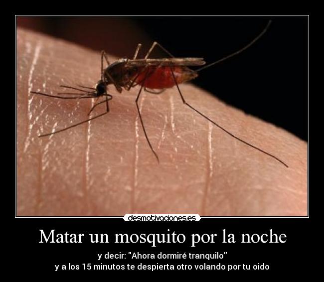 Matar un mosquito por la noche - y decir: Ahora dormiré tranquilo
y a los 15 minutos te despierta otro volando por tu oido