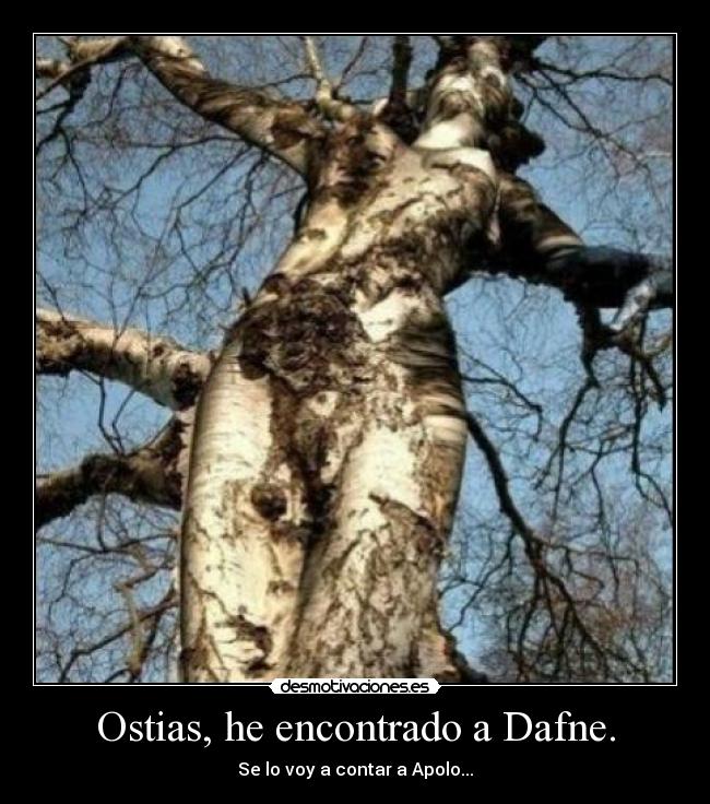 Ostias, he encontrado a Dafne. - Se lo voy a contar a Apolo...