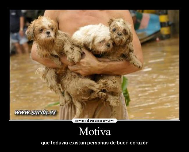 Motiva -