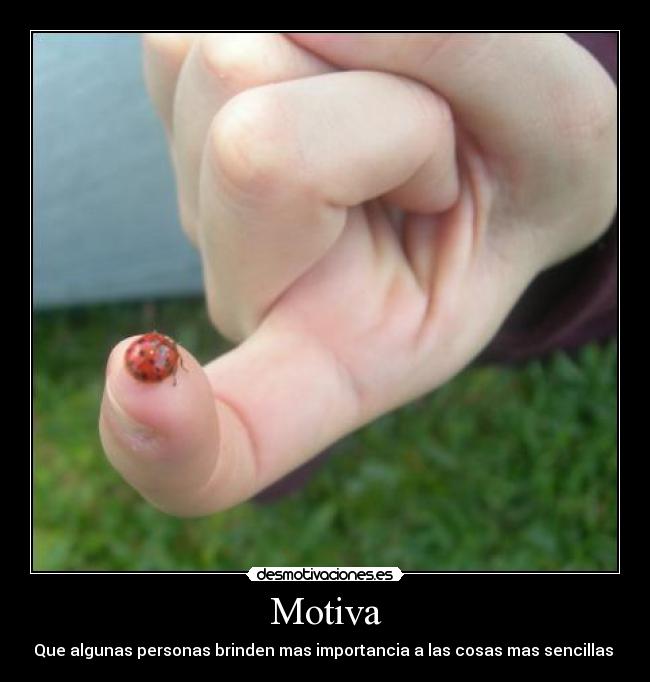 Motiva - Que algunas personas brinden mas importancia a las cosas mas sencillas