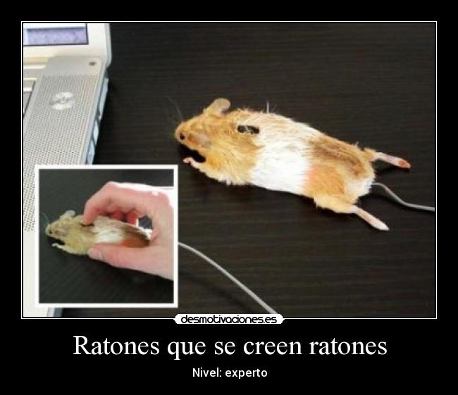 Ratones que se creen ratones - 
