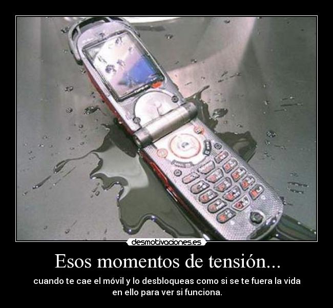 Esos momentos de tensión... - 