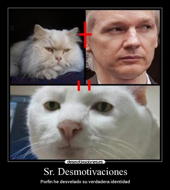 Sr. Desmotivaciones - Porfin he desvelado su verdadera identidad