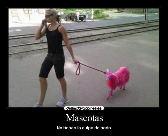 Mascotas - 