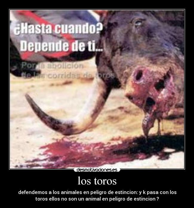 los toros - 
