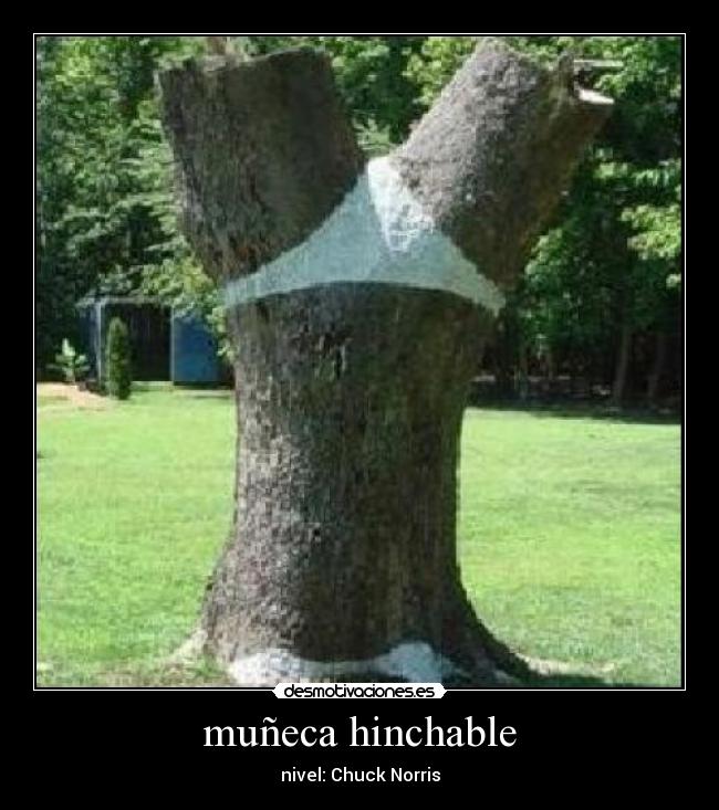 carteles chuck norris desmotivaciones