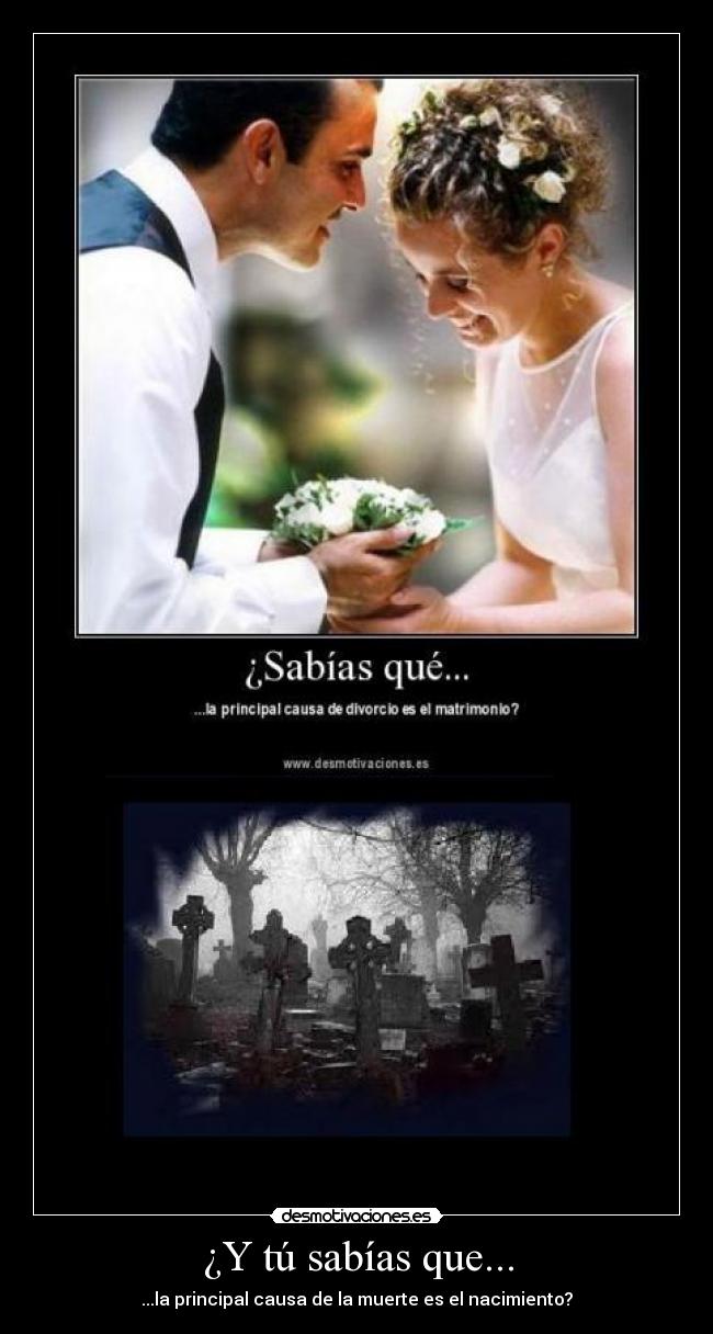 carteles lol desmotivaciones