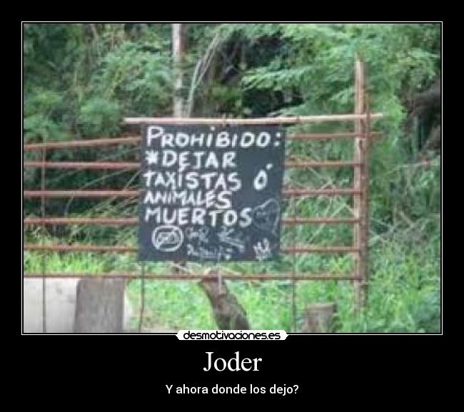 Joder - Y ahora donde los dejo?