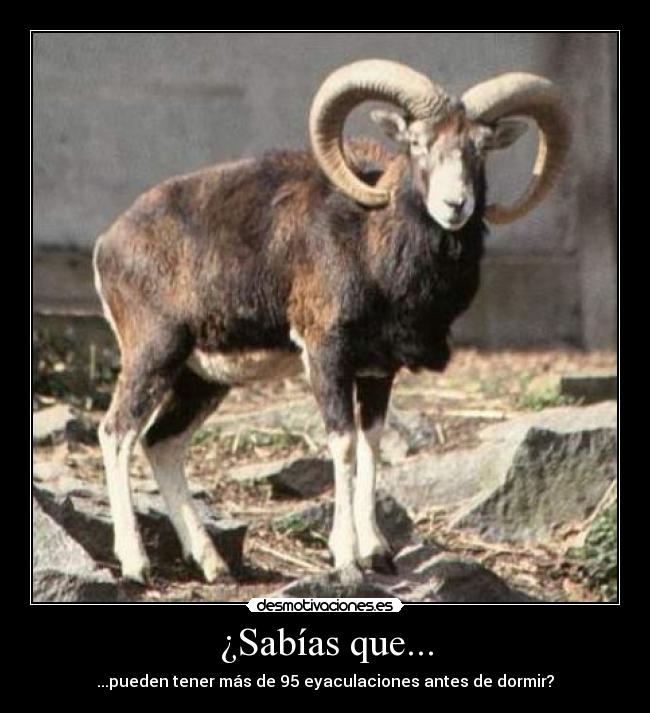 carteles lol desmotivaciones