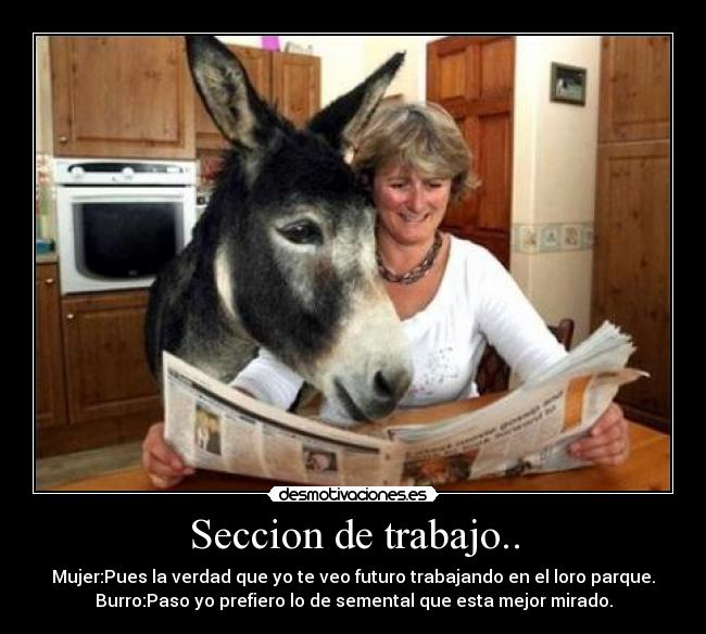 Seccion de trabajo.. - Mujer:Pues la verdad que yo te veo futuro trabajando en el loro parque.
Burro:Paso yo prefiero lo de semental que esta mejor mirado.