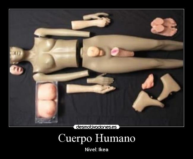 Cuerpo Humano - Nivel: Ikea