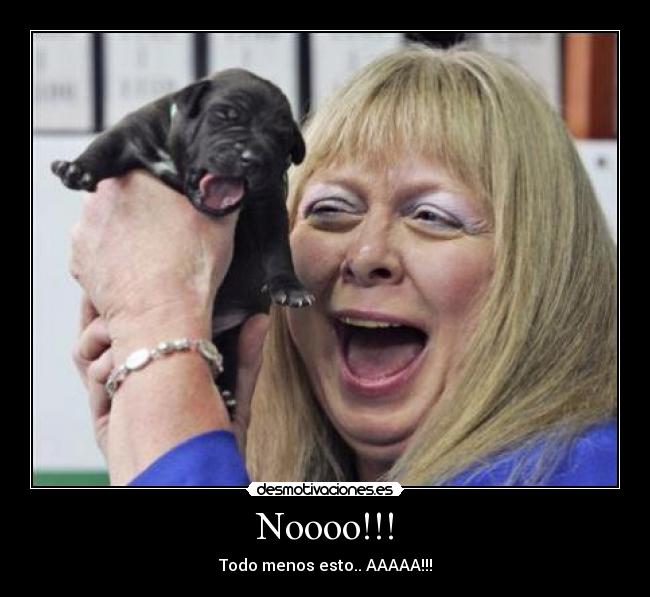 carteles sanxooo desmotivaciones