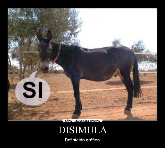 DISIMULA - Definición gráfica.