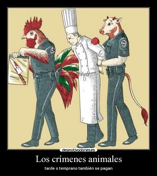 Los crímenes animales -