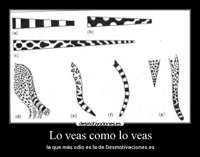 Lo veas como lo veas -