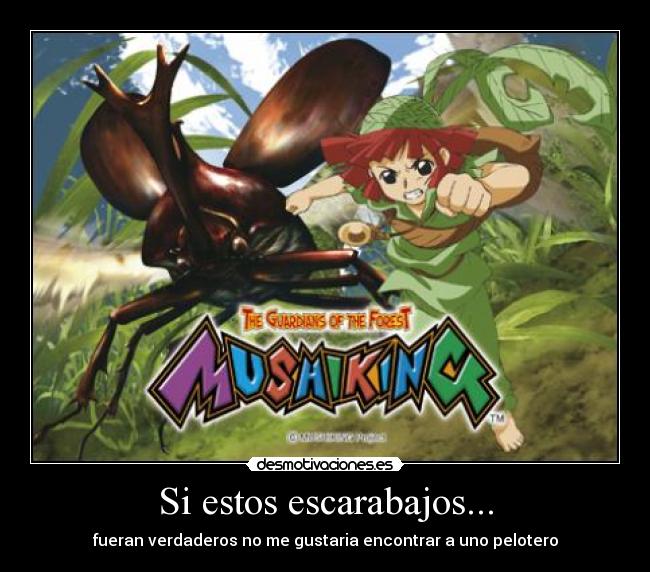 Si estos escarabajos... - fueran verdaderos no me gustaria encontrar a uno pelotero