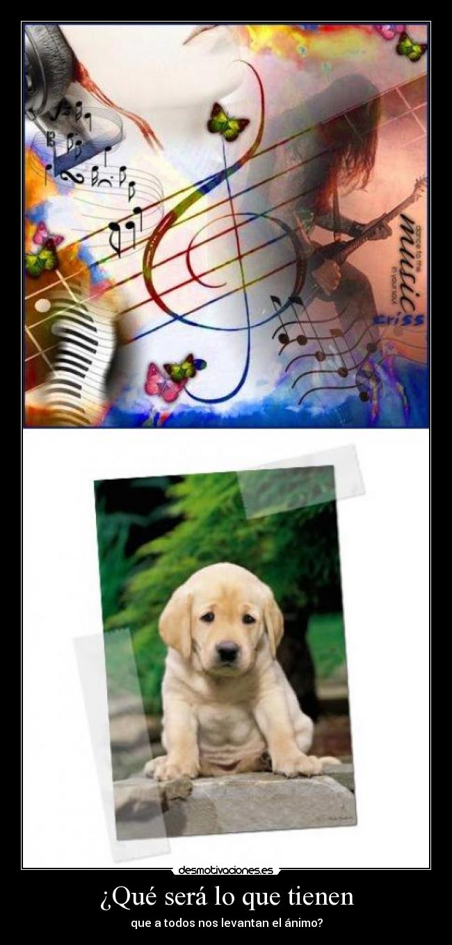 ¿Qué será lo que tienen - que a todos nos levantan el ánimo?