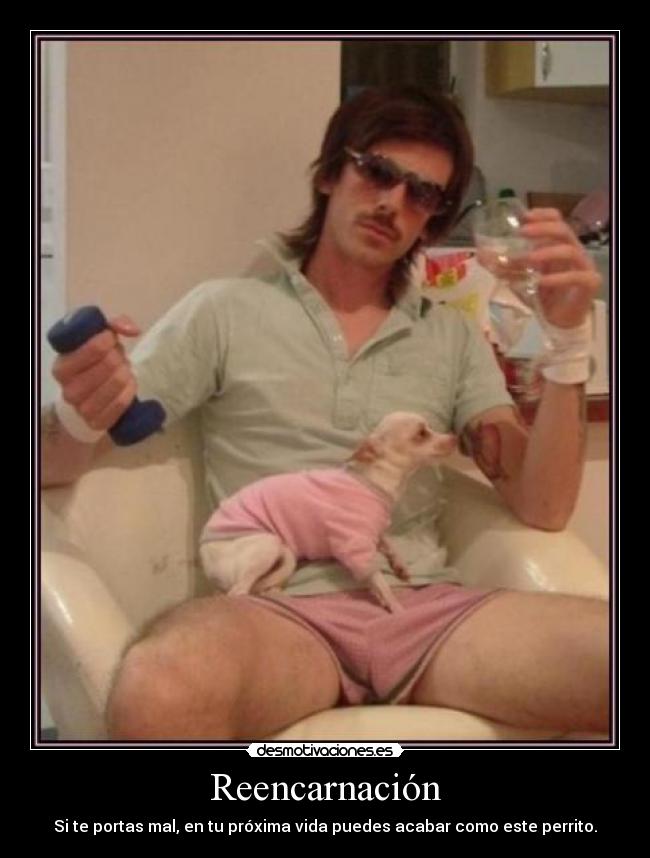 Reencarnación - Si te portas mal, en tu próxima vida puedes acabar como este perrito.