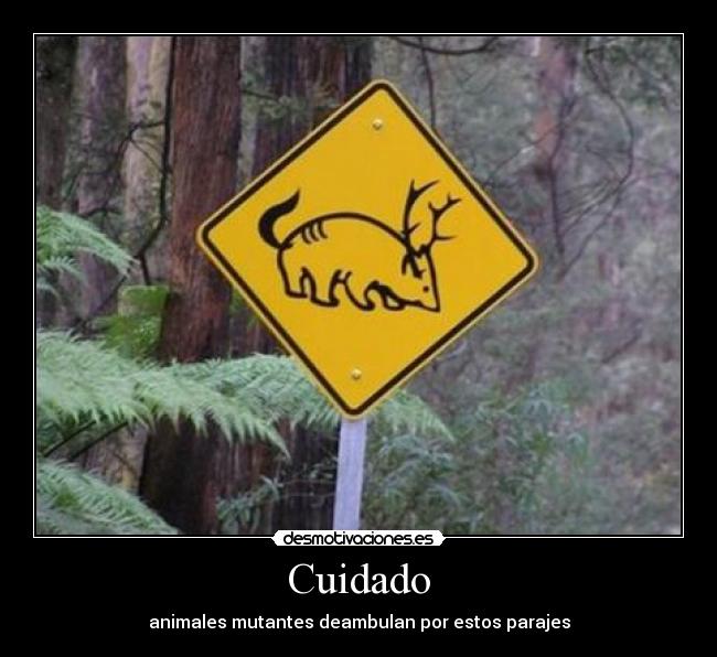 Cuidado - 