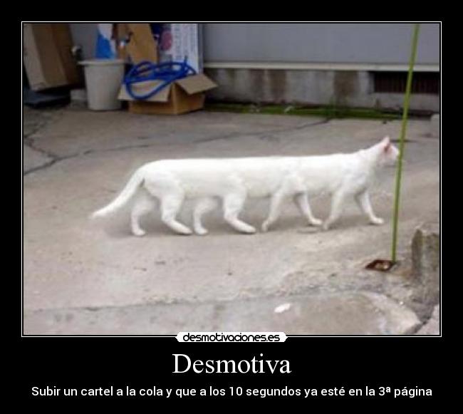 Desmotiva - Subir un cartel a la cola y que a los 10 segundos ya esté en la 3ª página
