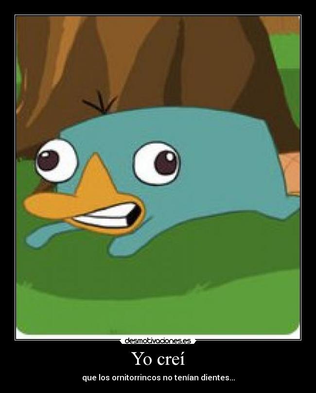 Yo creí - que los ornitorrincos no tenían dientes...