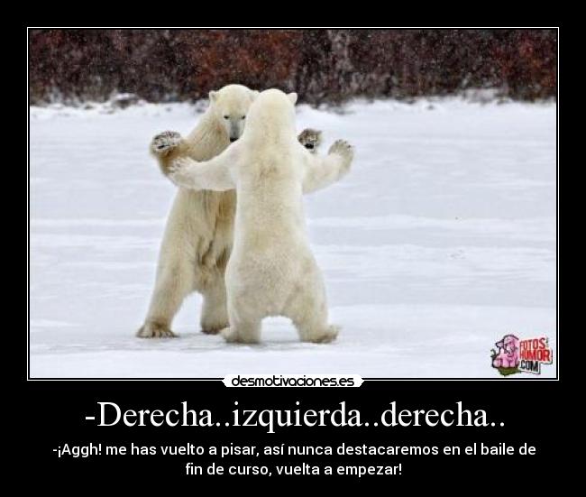 -Derecha..izquierda..derecha.. - -¡Aggh! me has vuelto a pisar, así nunca destacaremos en el baile de
fin de curso, vuelta a empezar!